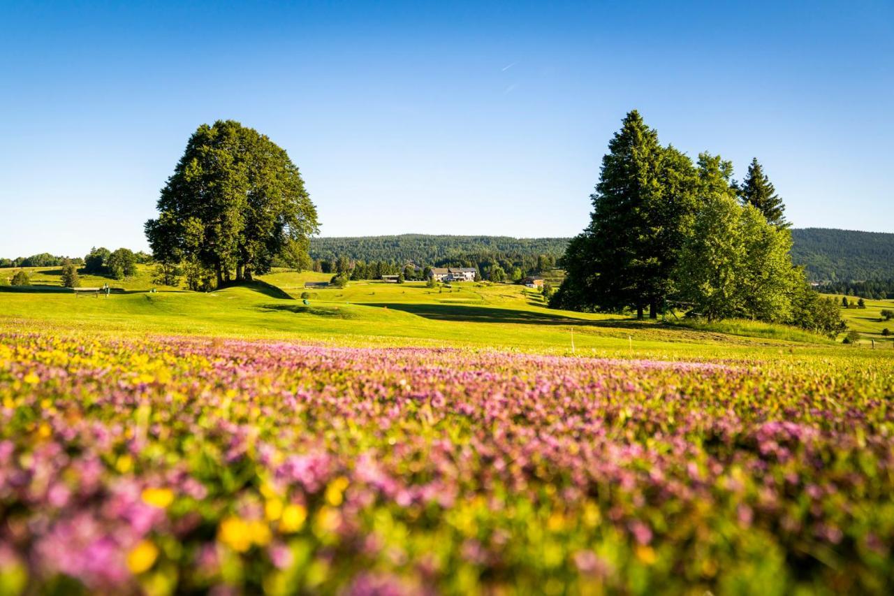 Domaine Du Mont-Saint-Jean Hotel Les Rousses Bagian luar foto